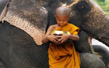 Hành trình chuyển hóa nội tâm